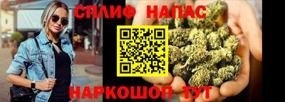гидра Кимры