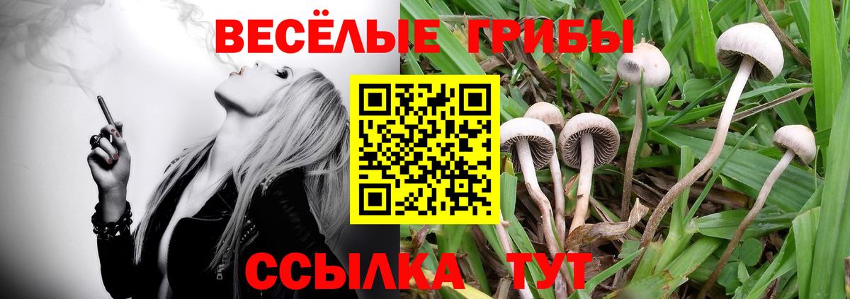 сколько стоит  Вход с VPN  Геленджик  Псилоцибиновые грибы ЛСД 