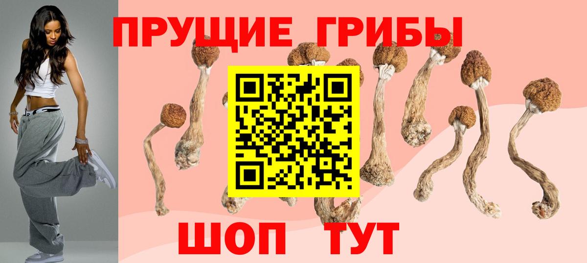 Псилоцибиновые грибы ЛСД Геленджик